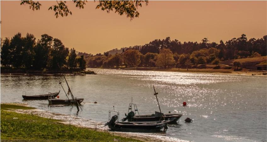 Just Like Home - Casa Do Sobreiro Velho Em Cerveira Vila Nova de Cerveira Bagian luar foto